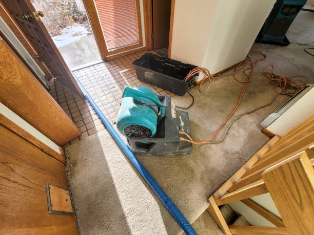 Best 24/7 water damage repair  in Flora, IN