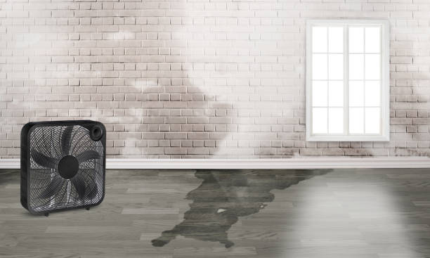 Best Flooded house restoration  in Flora, IN