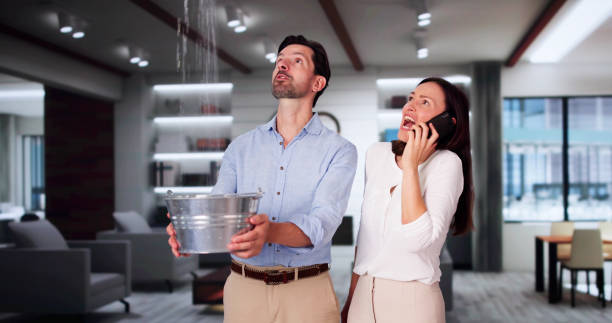 Best Water damage restoration near me  in Flora, IN